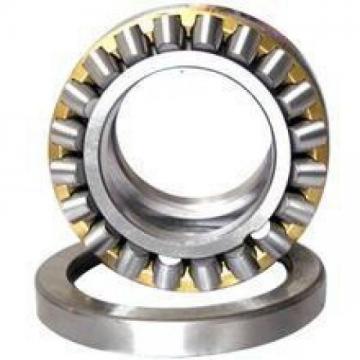 Bearing-Rolling Bearing-SKF Bearing-OEM Bearing-Cylindrical Roller Bearing